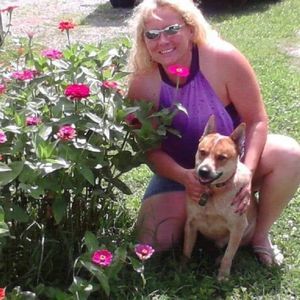 Meet your Posher, Donna